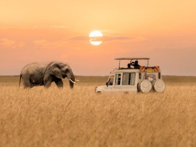 Masai Mara luxury fly-in safari
