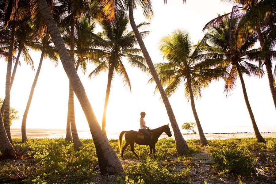 Mozambique Horse Riding Safari