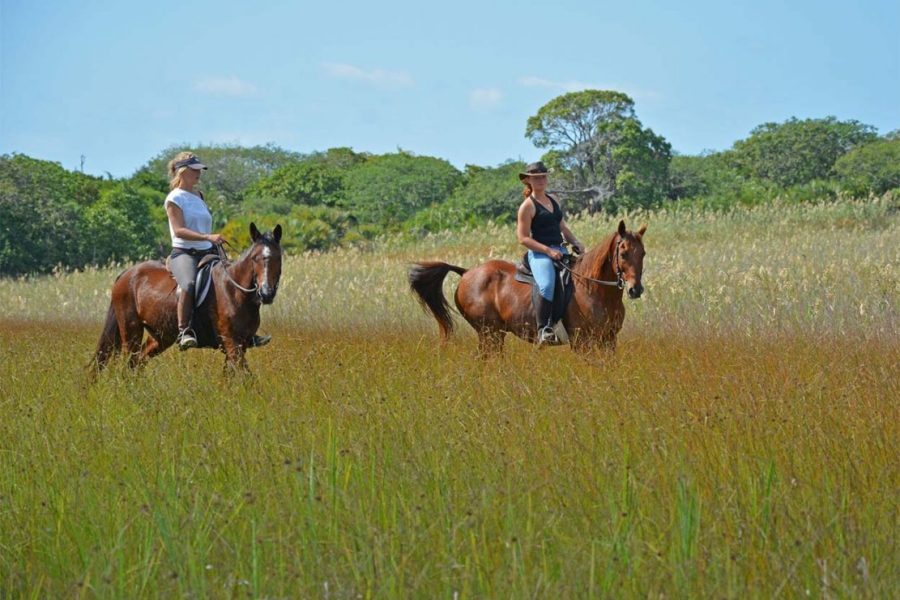 Mozambique Horse Riding Safari