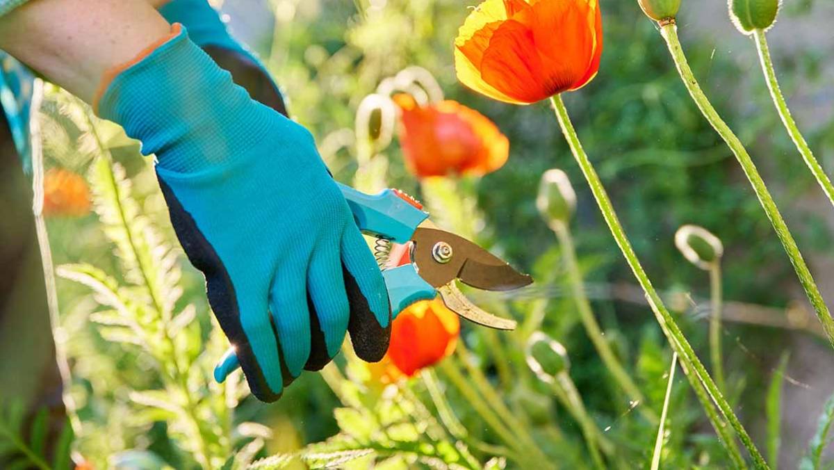 Packing for Uganda Safari