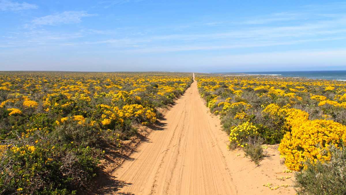 South African National Parks