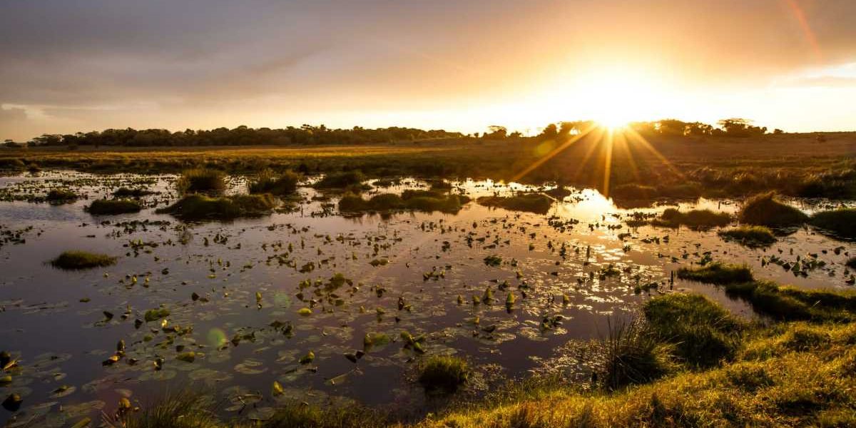 South African National Parks