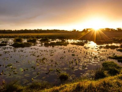 South African National Parks