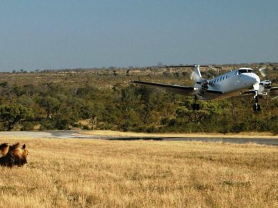 Luxury Tanzania Flying Safari