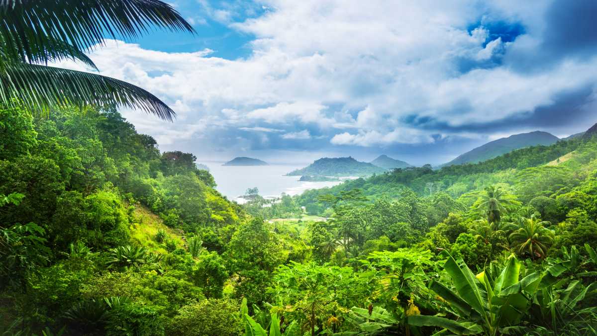 Things to Do in Seychelles