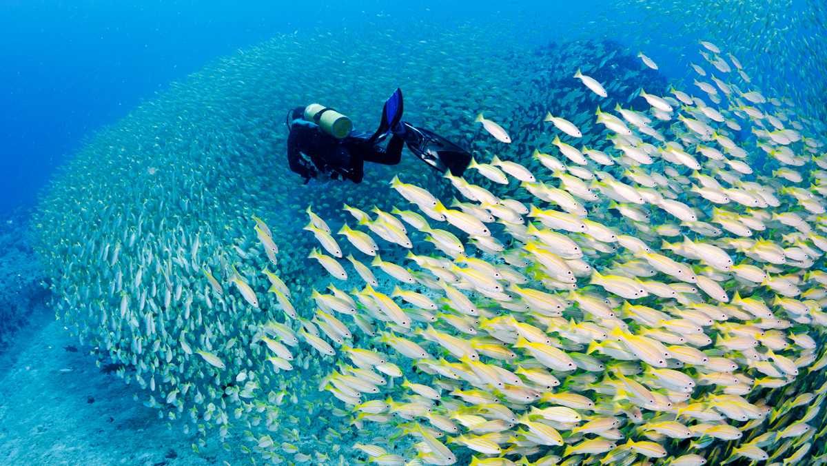 Things to Do in Seychelles