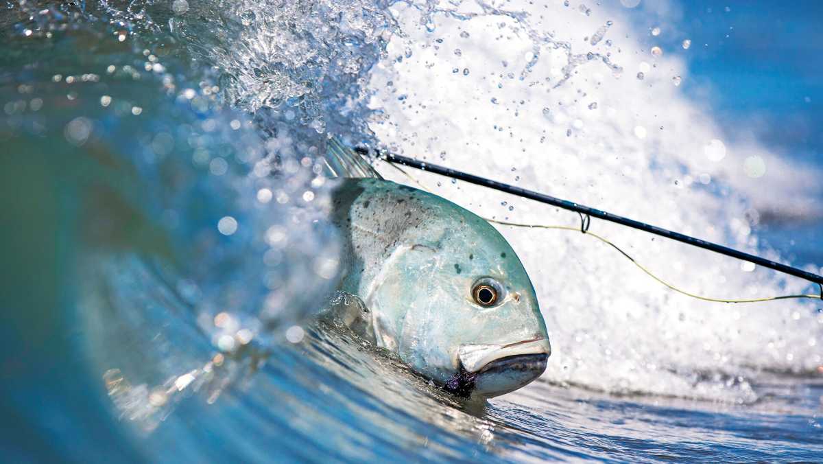 Things to Do in Seychelles