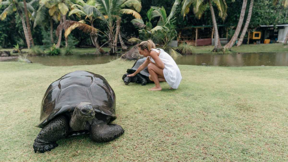 Things to Do in Seychelles