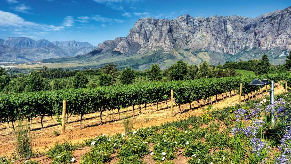 Things to Do in South Africa