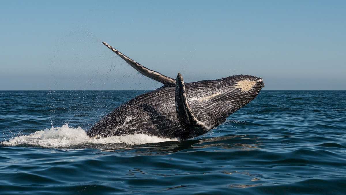 Things to Do in South Africa