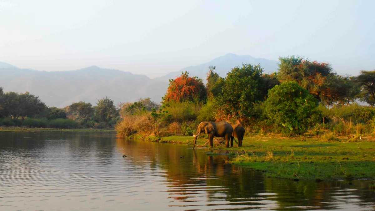 Things to Do in Zambia