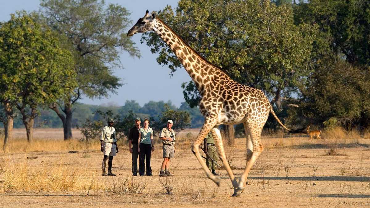 Things to Do in Zambia