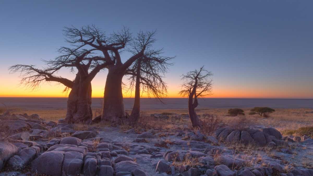 Tourist Attractions in Botswana