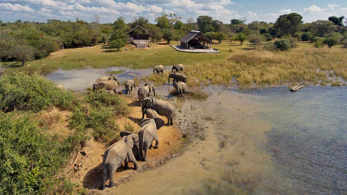 Zambia National Parks