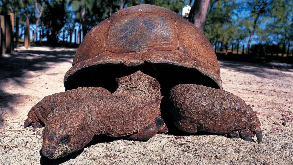 Zanzibar: 5 A Must See Attractions